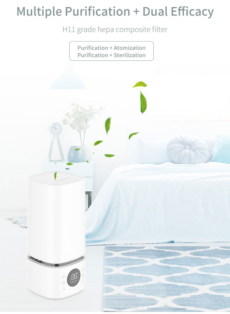 Air humidifier and purifier