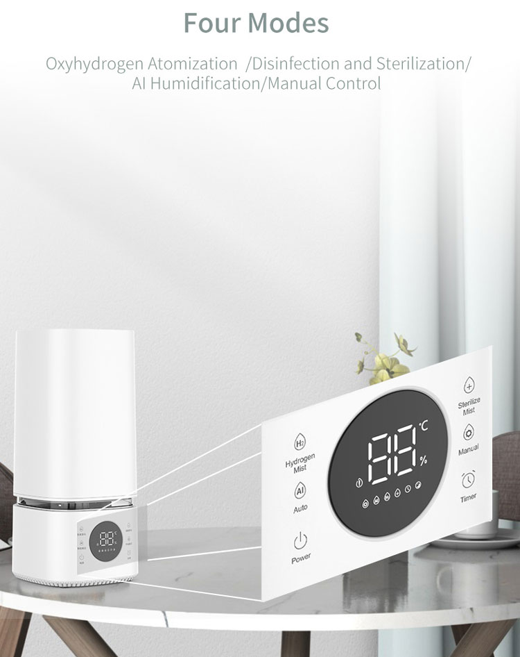 Air humidifier and purifier